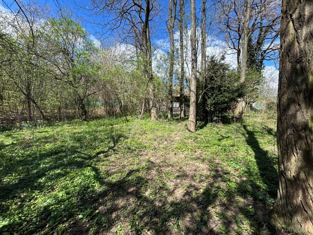 Waldgrundstück am Bisamberg
