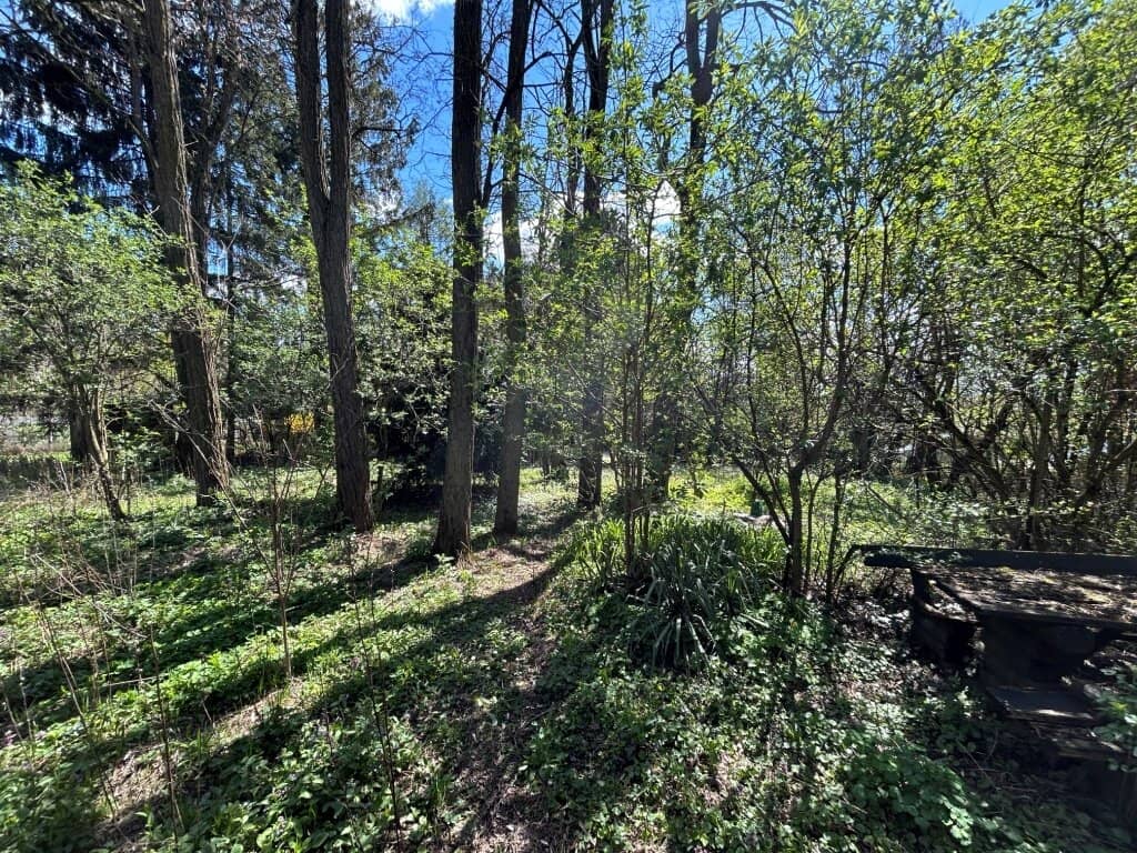 Waldgrundstück am Bisamberg