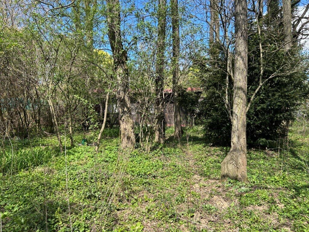 Waldgrundstück am Bisamberg