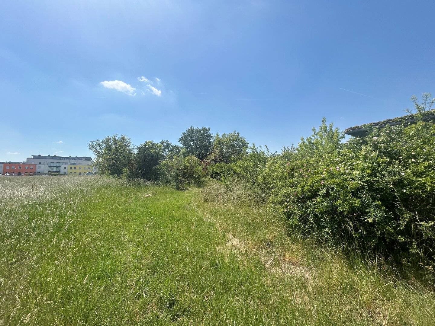 Baugrundstück mit Abbruchobjekt nahe der Hauptstadt Tulln