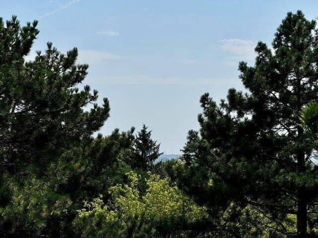 Die besten Aussichten für einen Sommer im Grünen