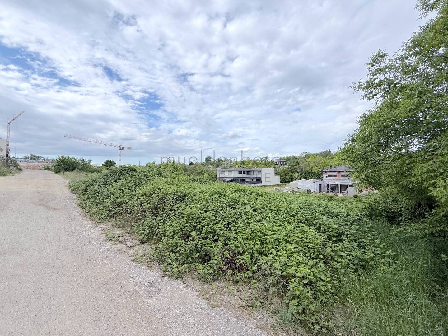Traum-Baugrund 376m² in Neusiedl am See – Eigenheim verwirklichen zum Top-Preis!