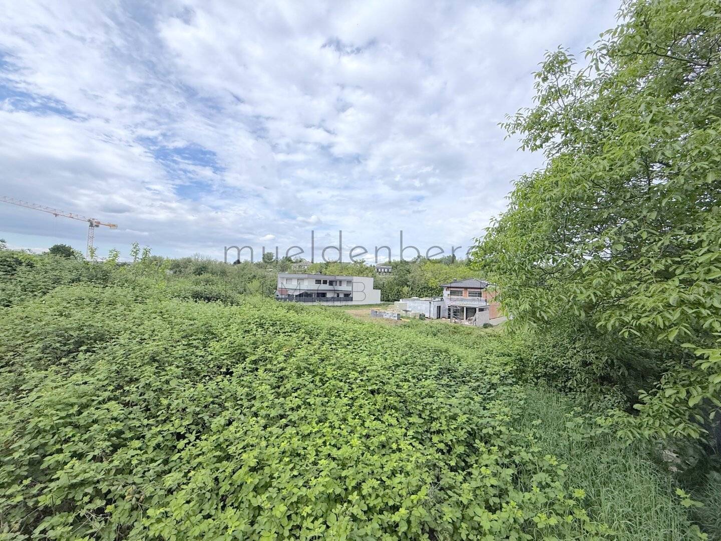 Traum-Baugrund 376m² in Neusiedl am See – Eigenheim verwirklichen zum Top-Preis!