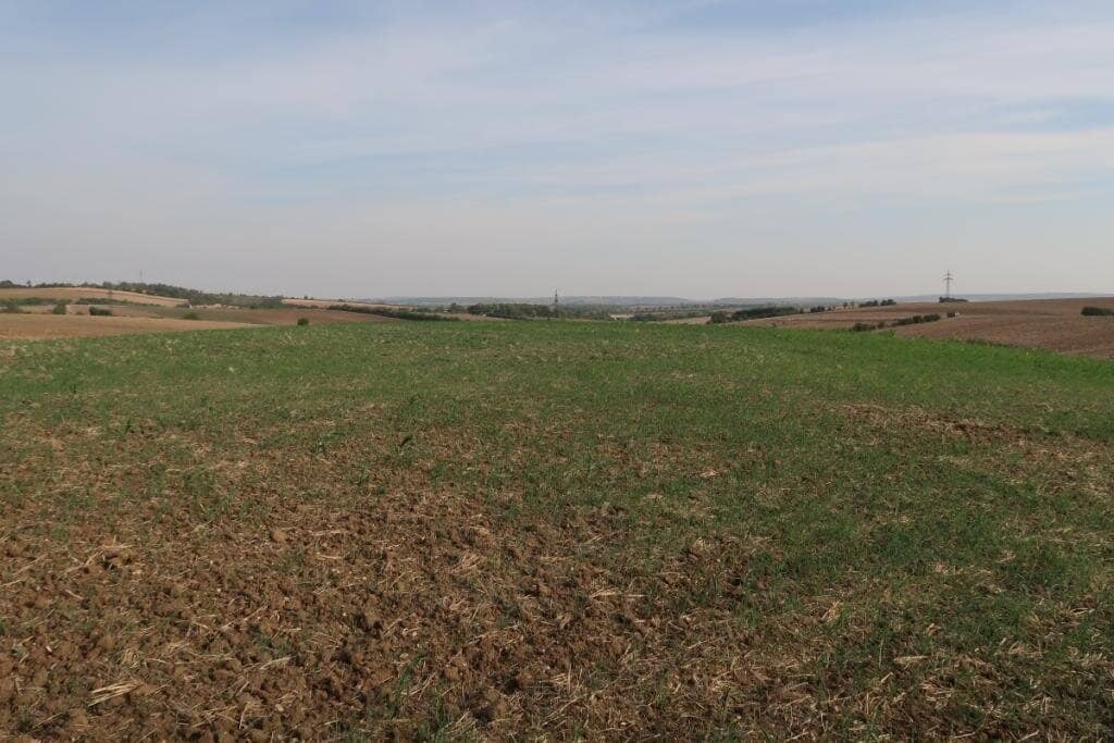 Landwirtschaftliche Grundstücke (Ackerbau) in Höbersbrunn