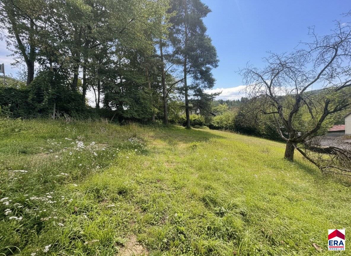 Großzügiges Baugrundstück 1527m² in 3413 Kirchbach – Ihr Traum vom Eigenheim!
