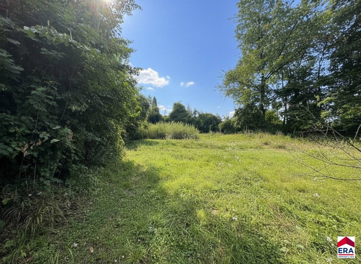 Großzügiges Baugrundstück 1527m² in 3413 Kirchbach – Ihr Traum vom Eigenheim!