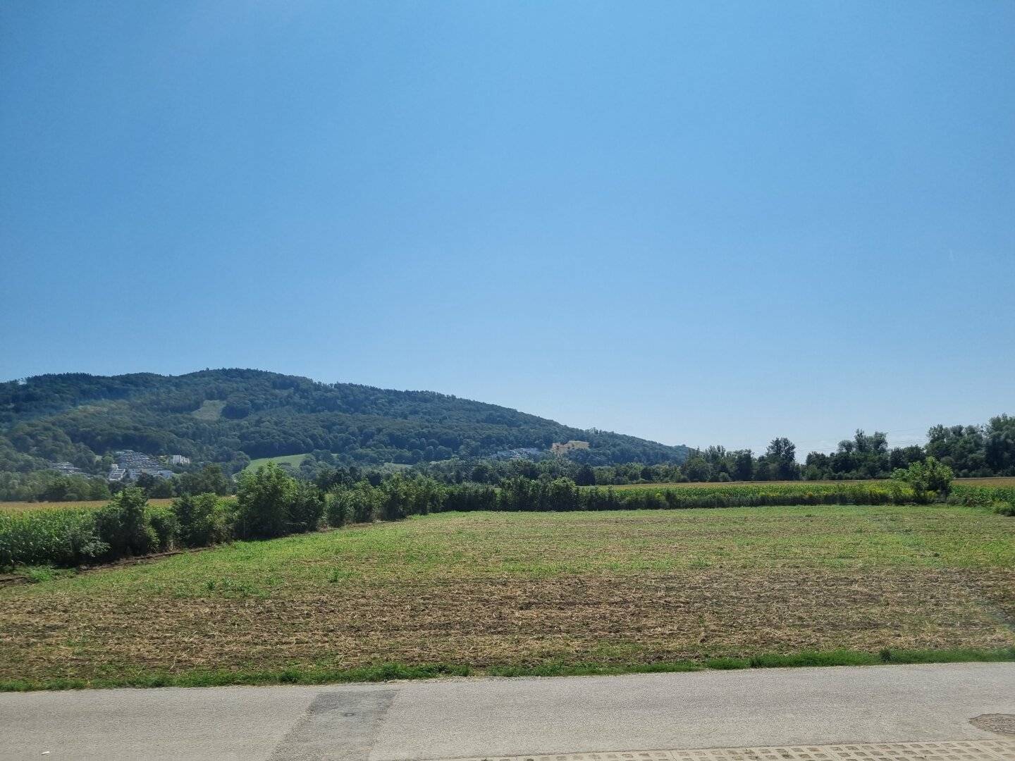 Immobilienbild 2