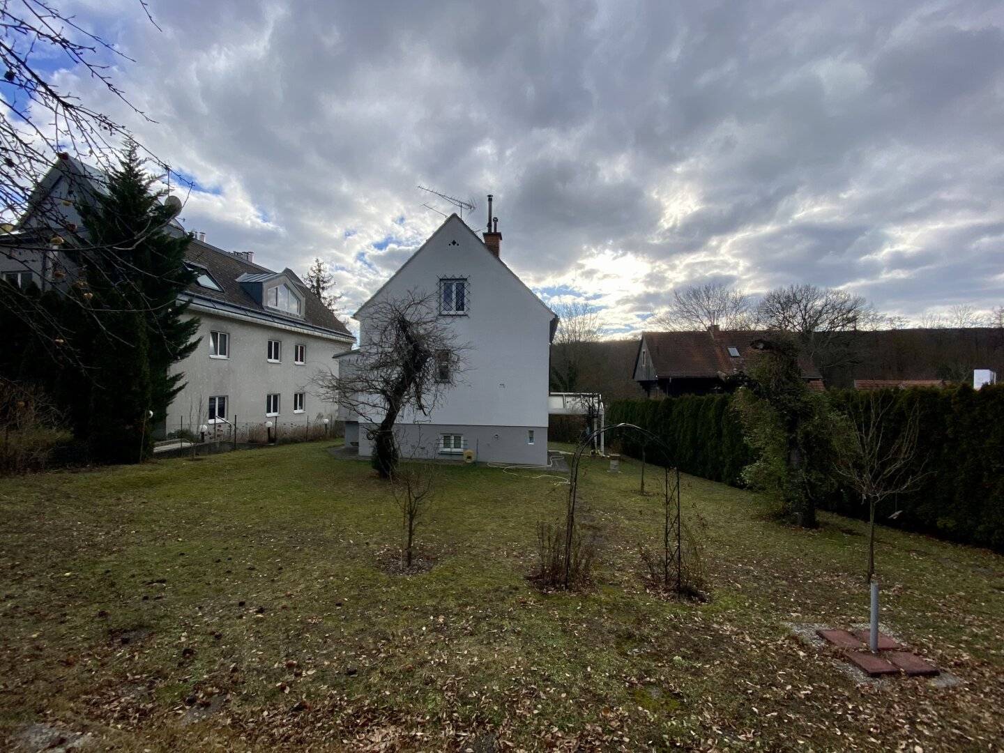 Baugrund beim Lainzer Tiergarten mit Altbestand