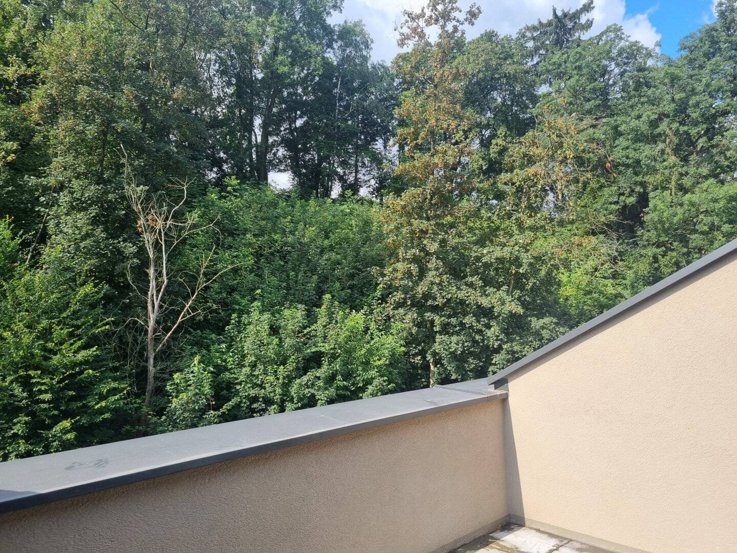 Wohnen am grünen Stadtrand von Linz - Reihenhaussiedlung Agathe-Schwabenau-Weg