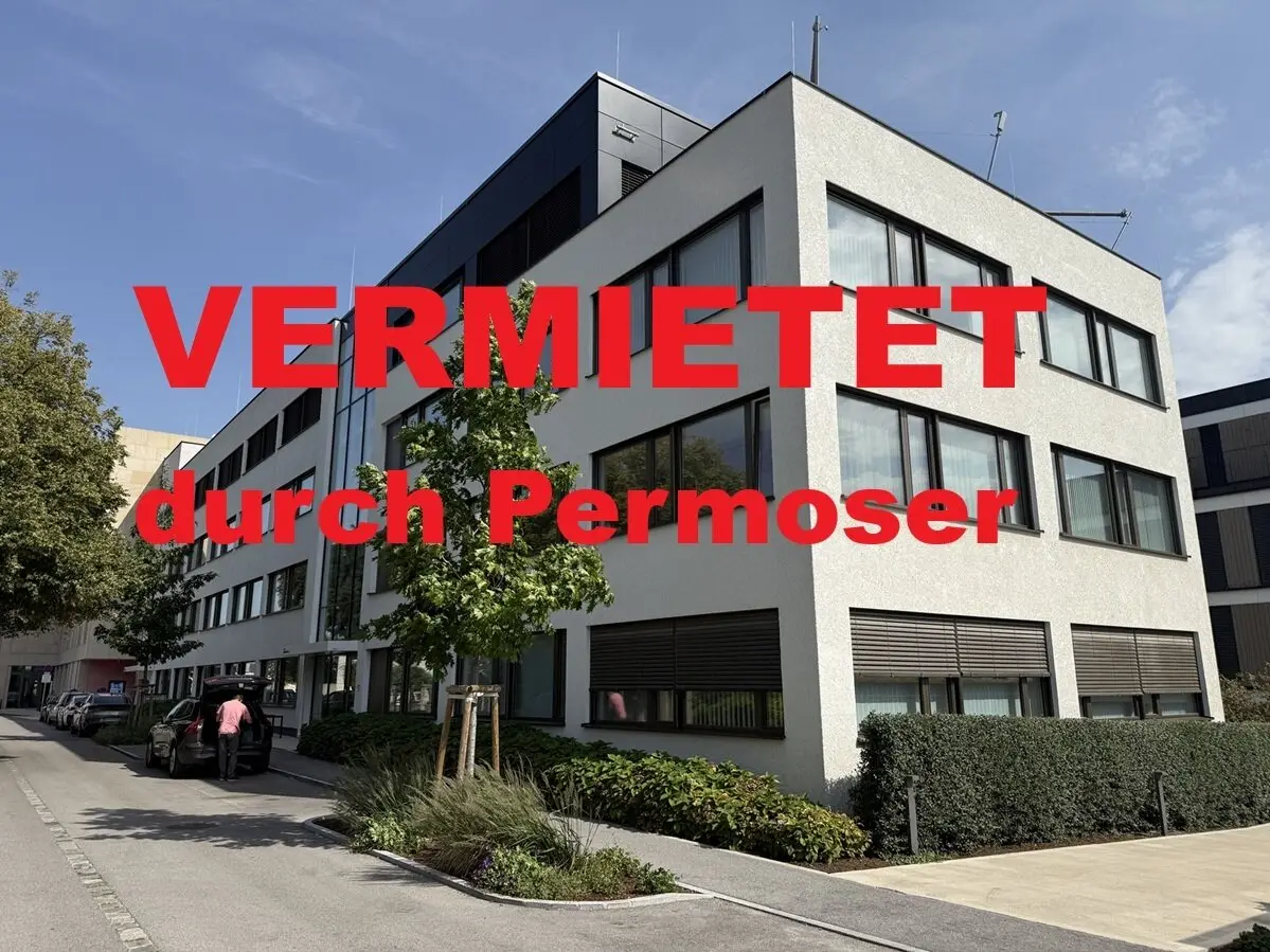 modernes Büro mit über 200 m² in zentrumsnaher Lage zu vermieten