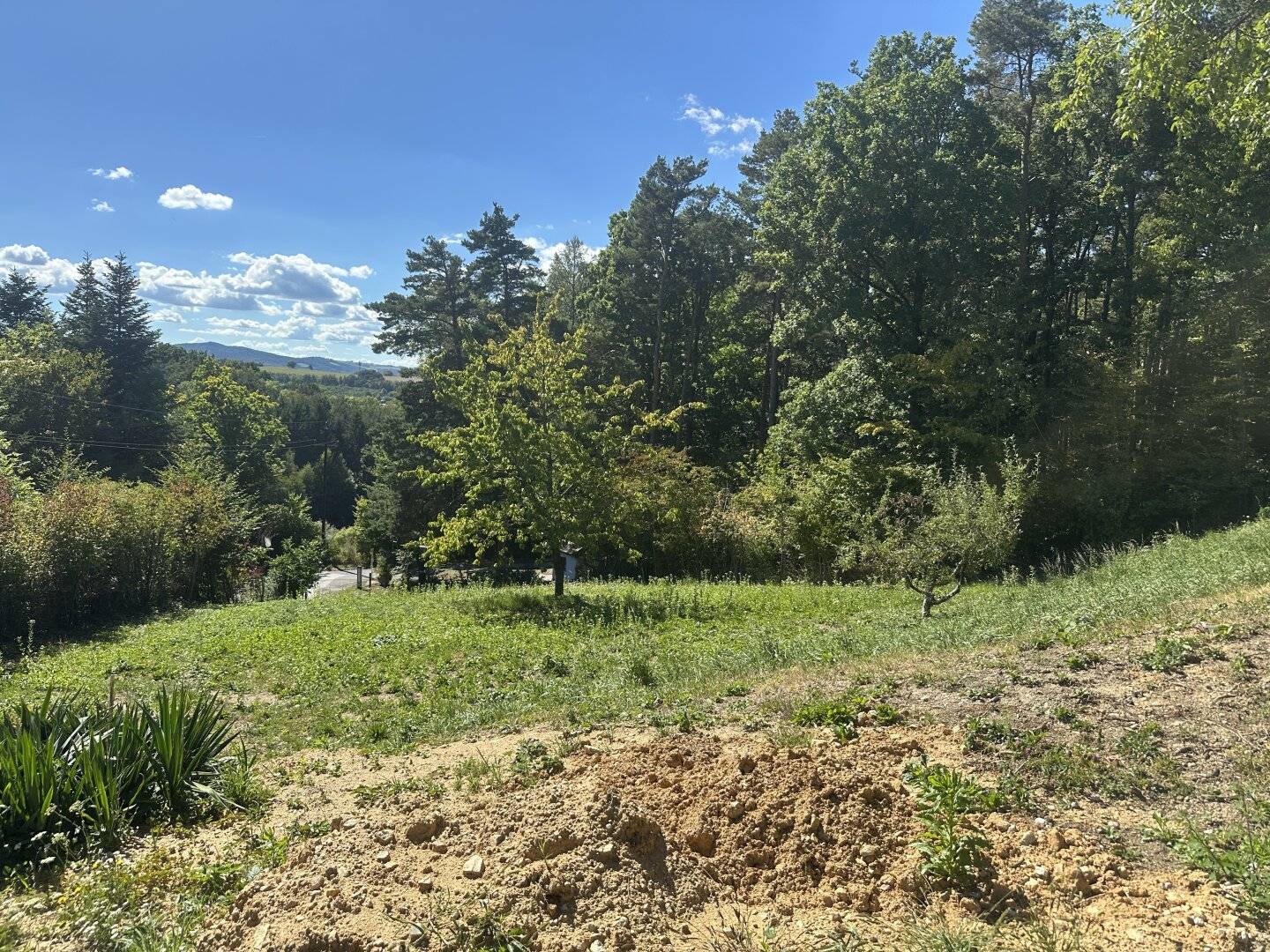 Wohnhaus mit Garage auf traumhaftem Grundstück am Waldrand mit herrlichem Ausblick zu verkaufen