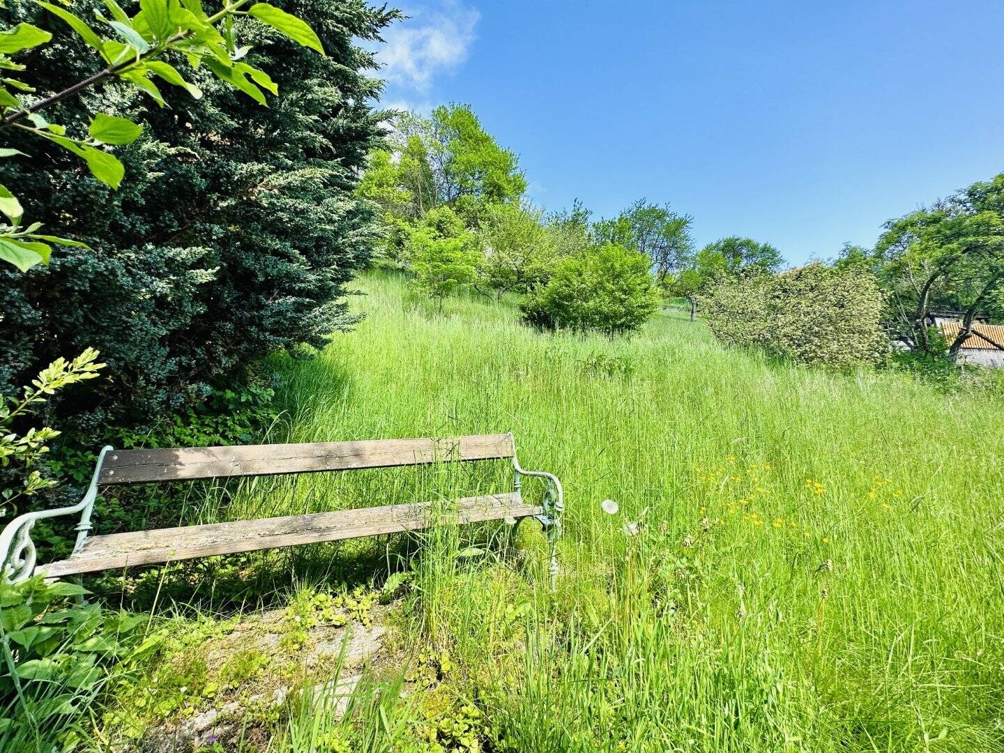 Baugrundstück mit 923 m² (südöstlich ausgerichtet) zum Kauf in Mürzzuschlag!