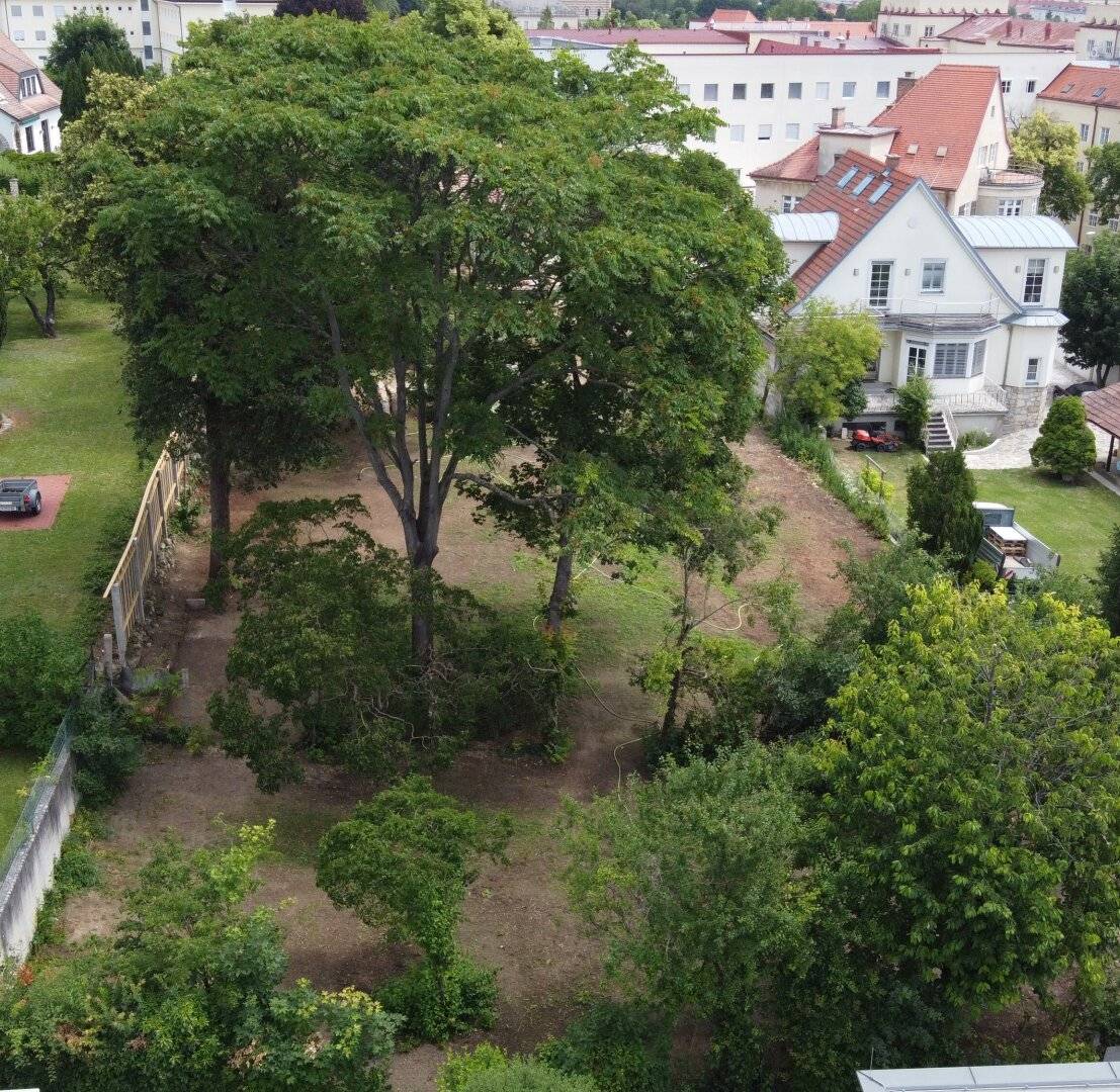 attraktives Grundstück mit Altbaumbestand in Bestlage von Eisenstadt