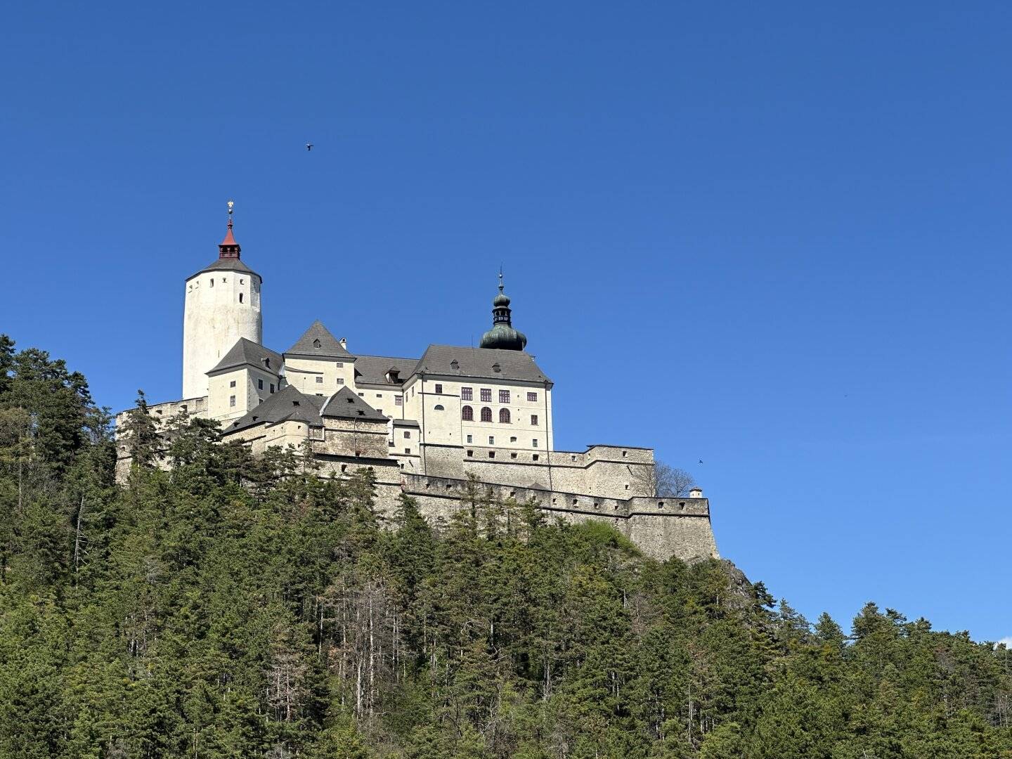 sehr gepflegtes Wohnhaus mit traumhaftem Blick auf die Burg