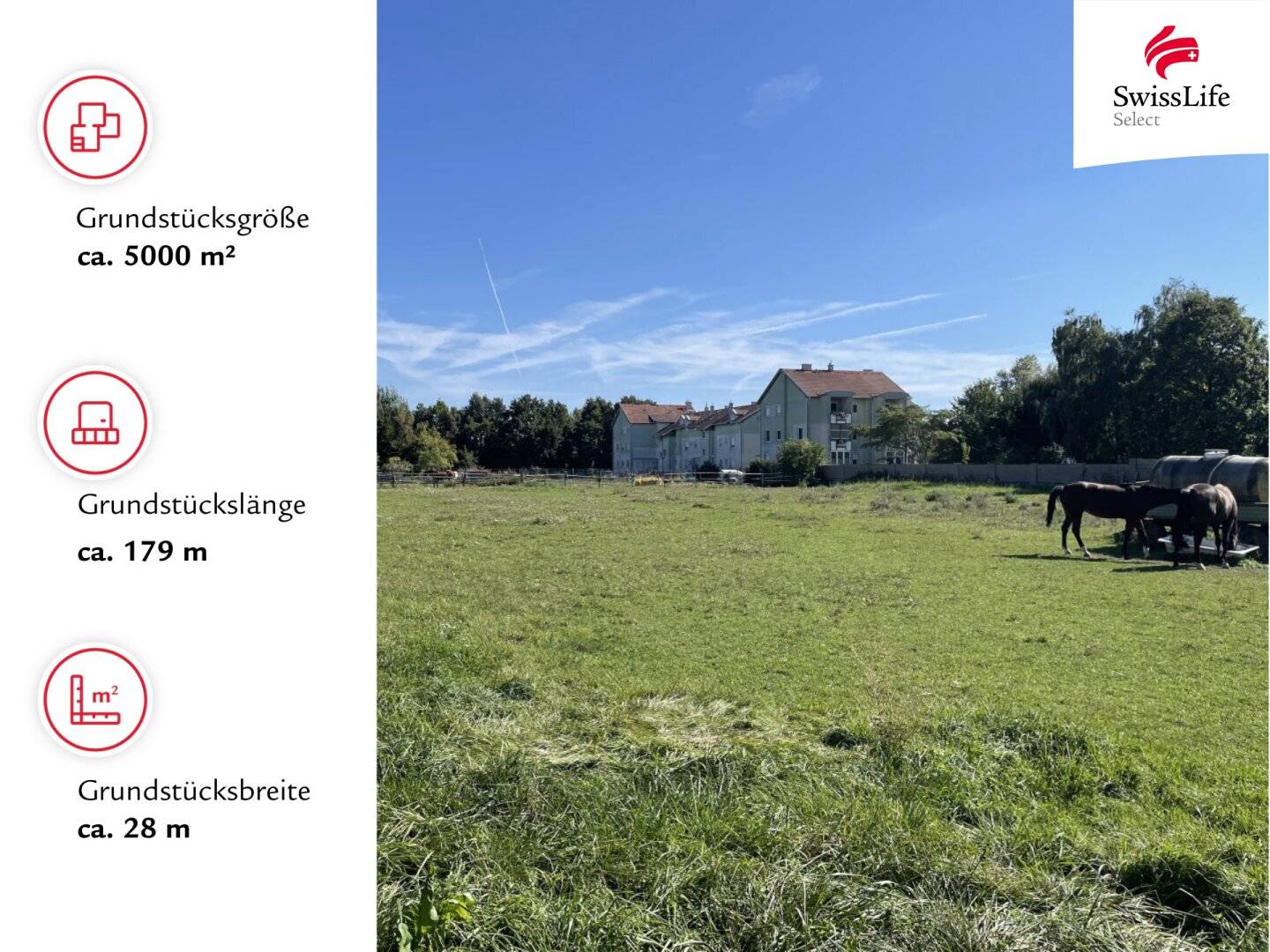 Gols | Baugrundstück in Top-Lage | 5.000 m²