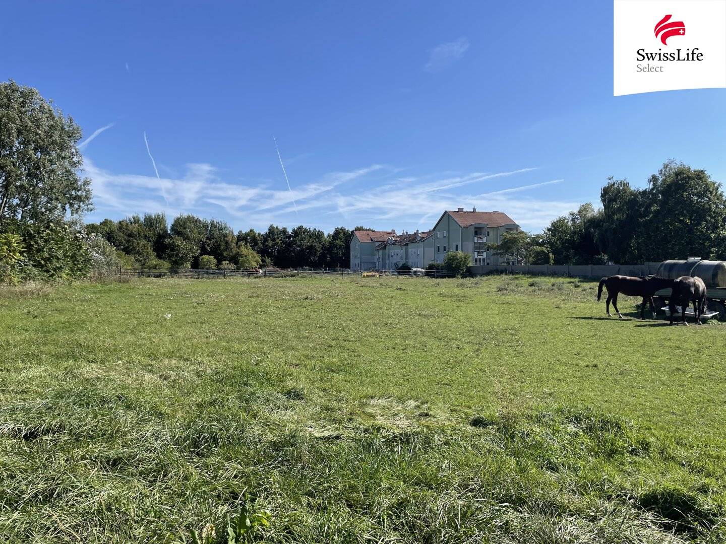 Gols | Baugrundstück in Top-Lage | 5.000 m²