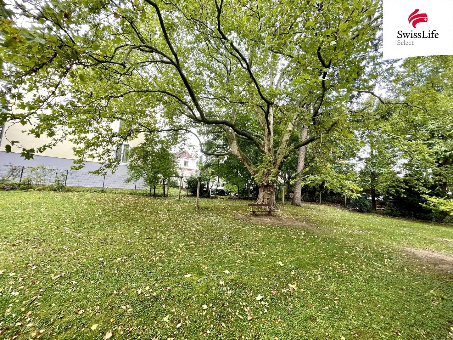 Ihre Ruheoase mitten in Baden – wohnen, wo Stadt und Grün sich begegnen