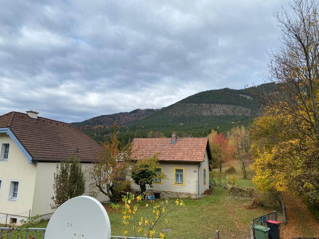 Naturnahes Wohnen im renovierungsbedürftigen Einfamilienhaus in Grünbach am Schneeberg