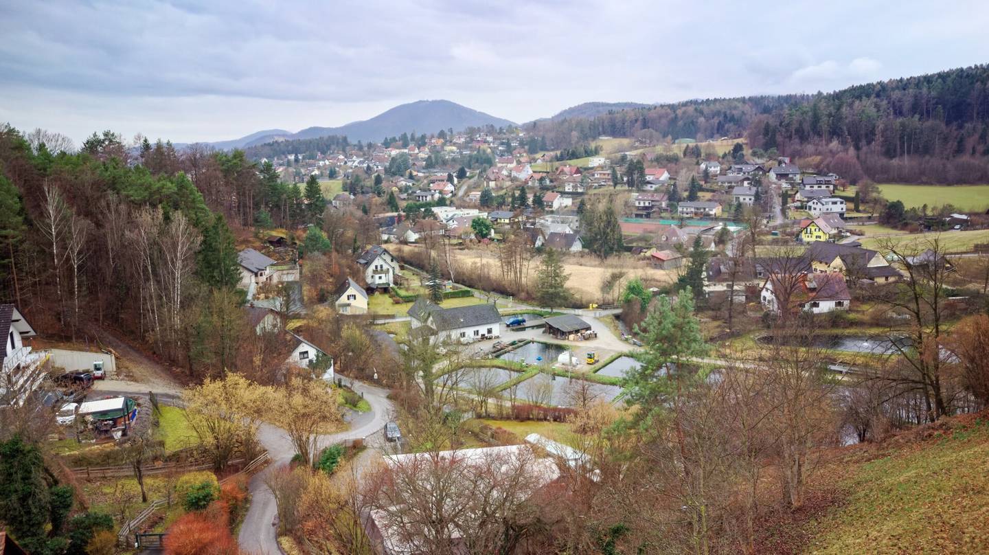 Sonniges Baugrundstück mit traumhafter Aussicht in Stattegg