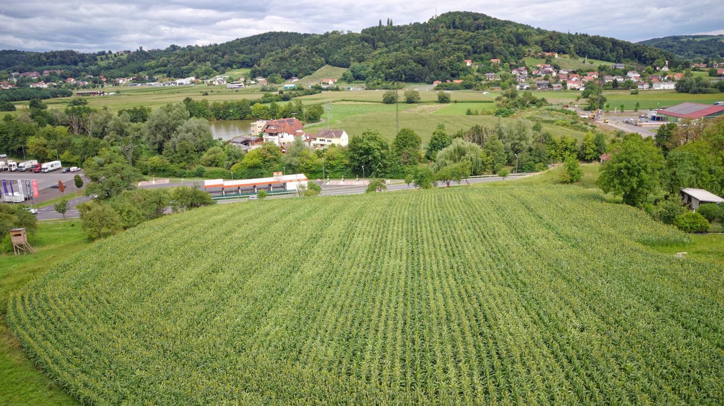 Großzügiges Baugrundstück Nähe Stadtzentrum Feldbach – Grundstücksteilung möglich