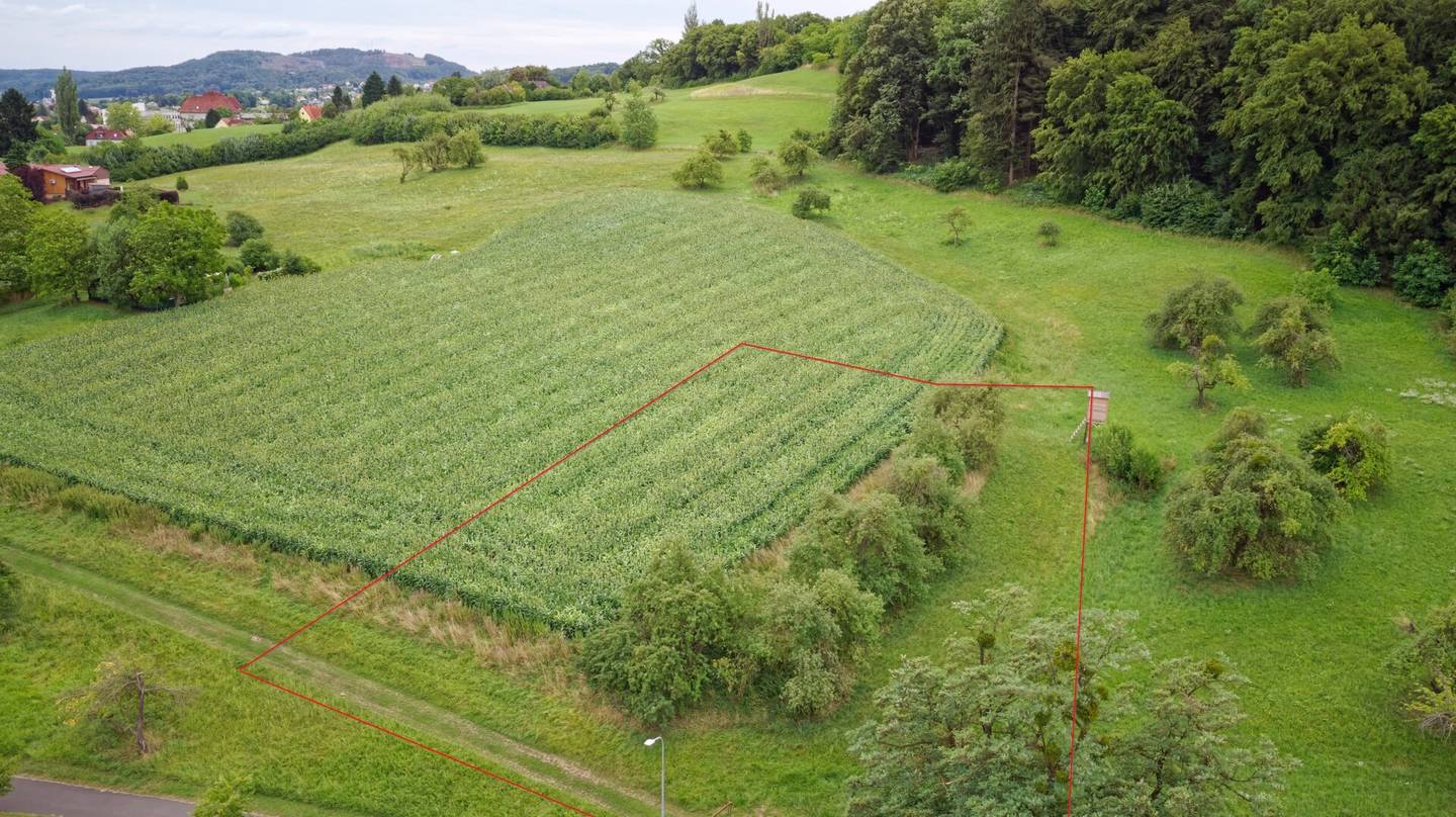 Großzügiges Baugrundstück Nähe Stadtzentrum Feldbach – Grundstücksteilung möglich