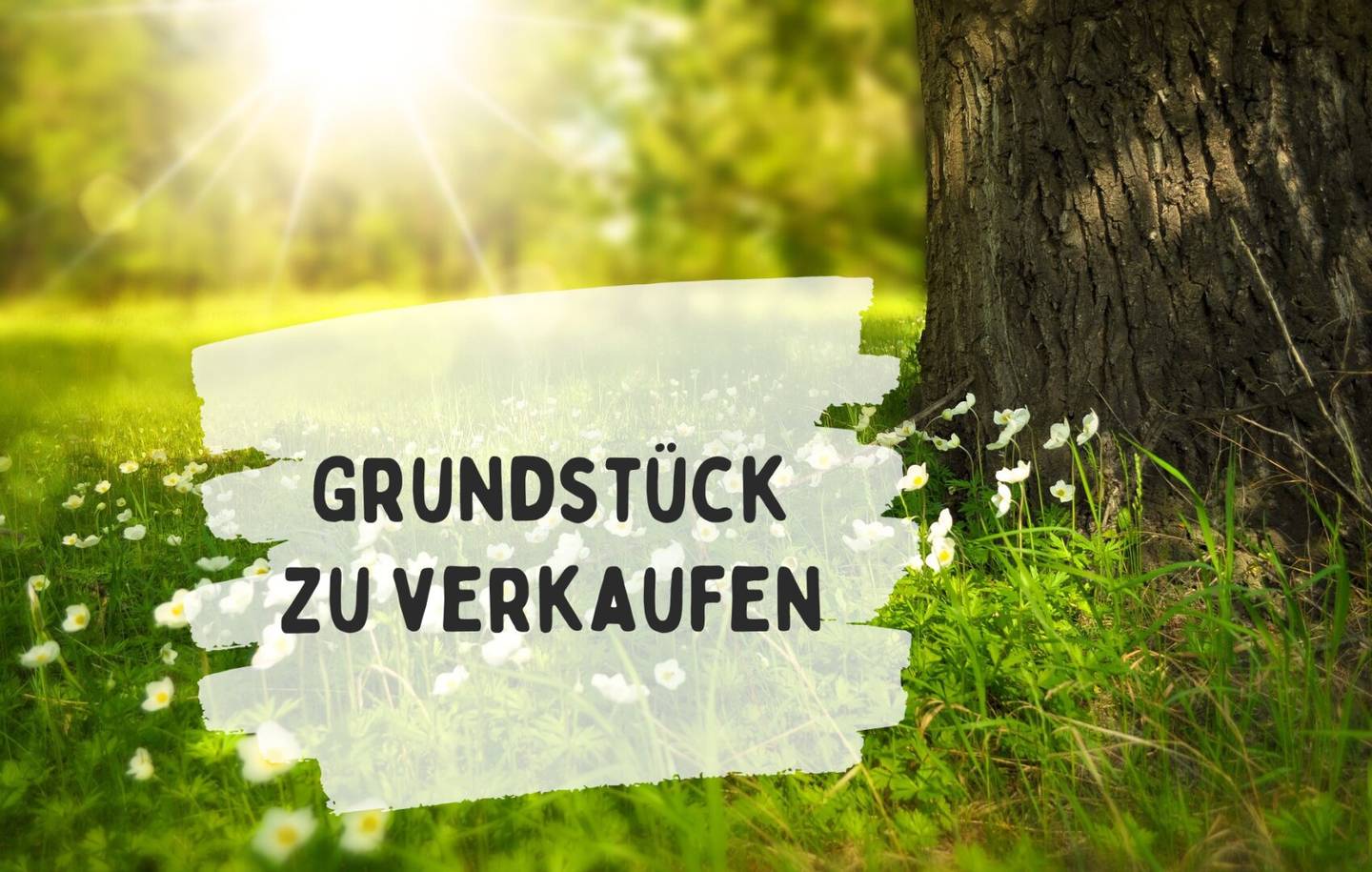 Großzügiges Baugrundstück Nähe Stadtzentrum Feldbach – Grundstücksteilung möglich