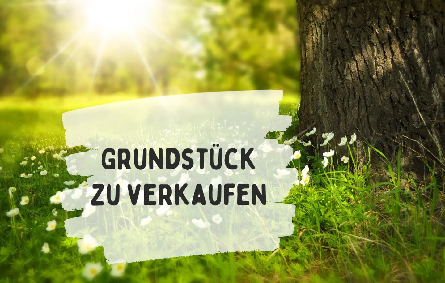 Großzügiges Baugrundstück Nähe Stadtzentrum Feldbach – Grundstücksteilung möglich