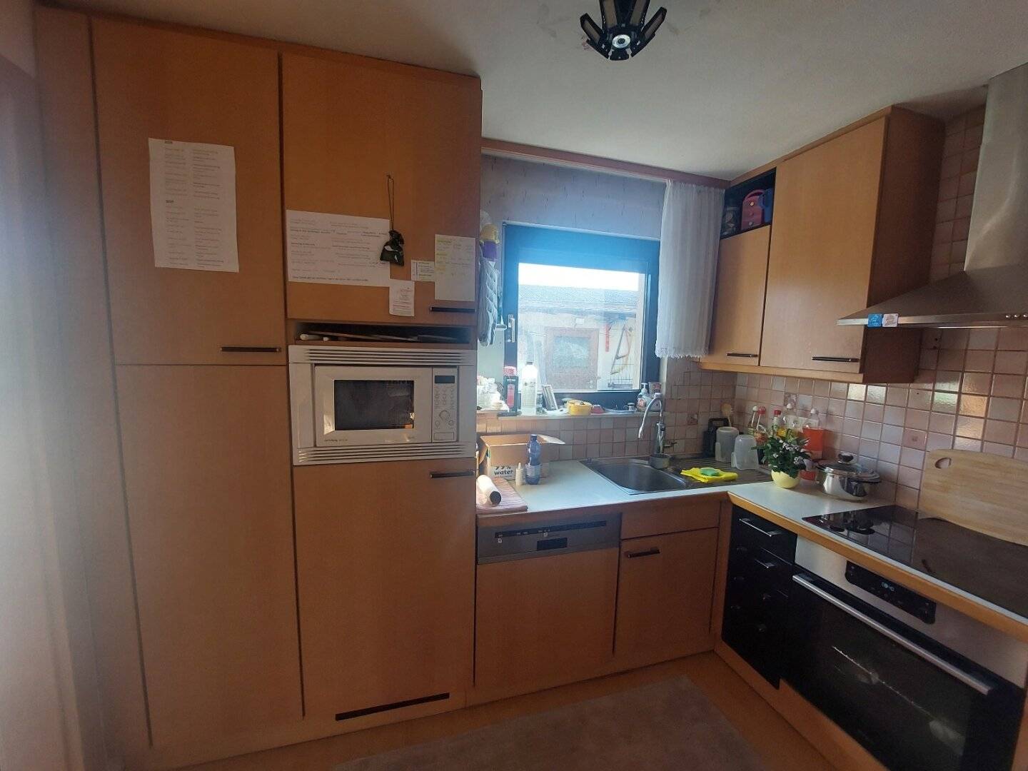 2412 Wolfsthal -  großes Baugrundstück mit  renovierungsbedürftigem Haus