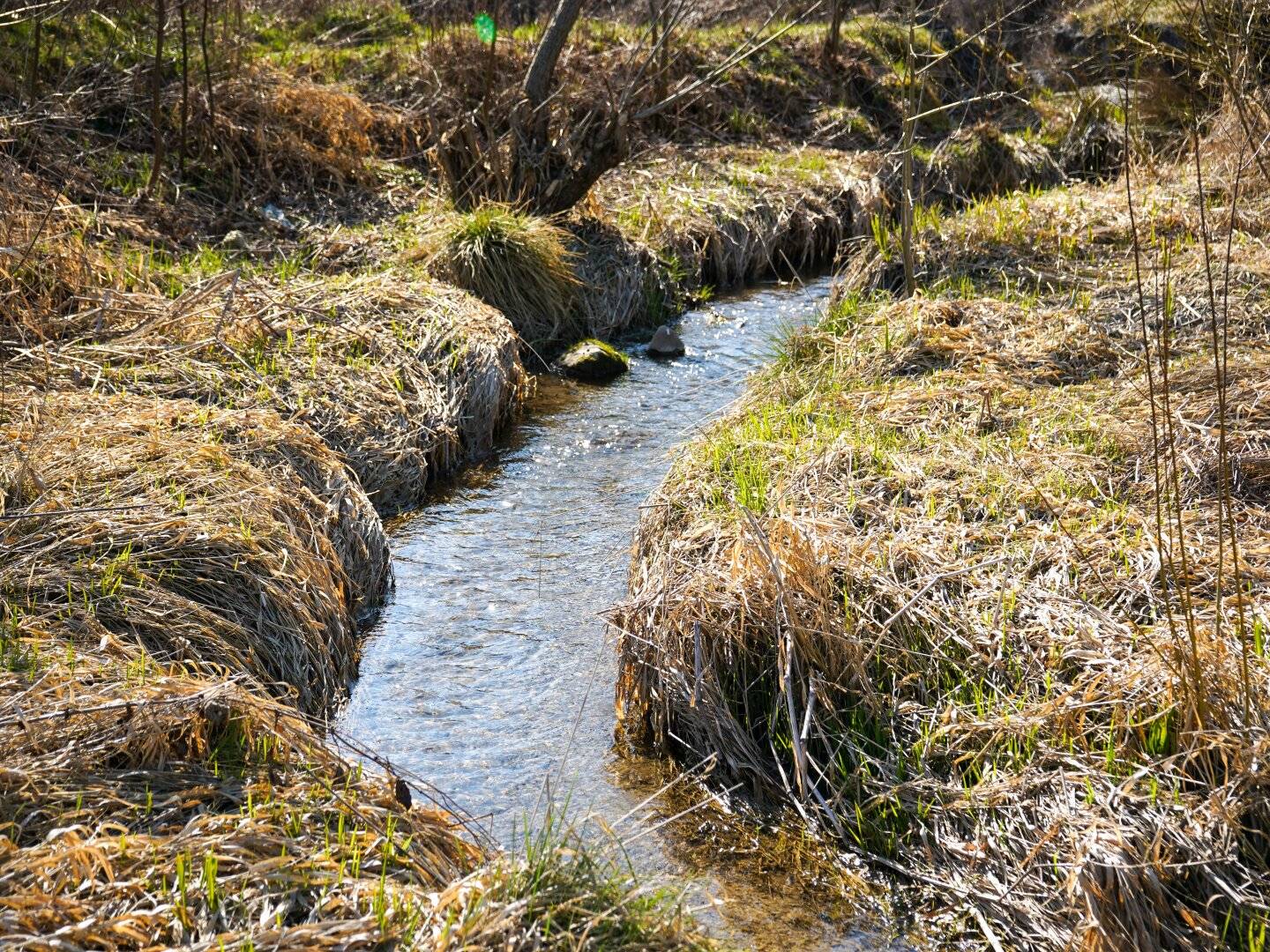 Rundum Natur
