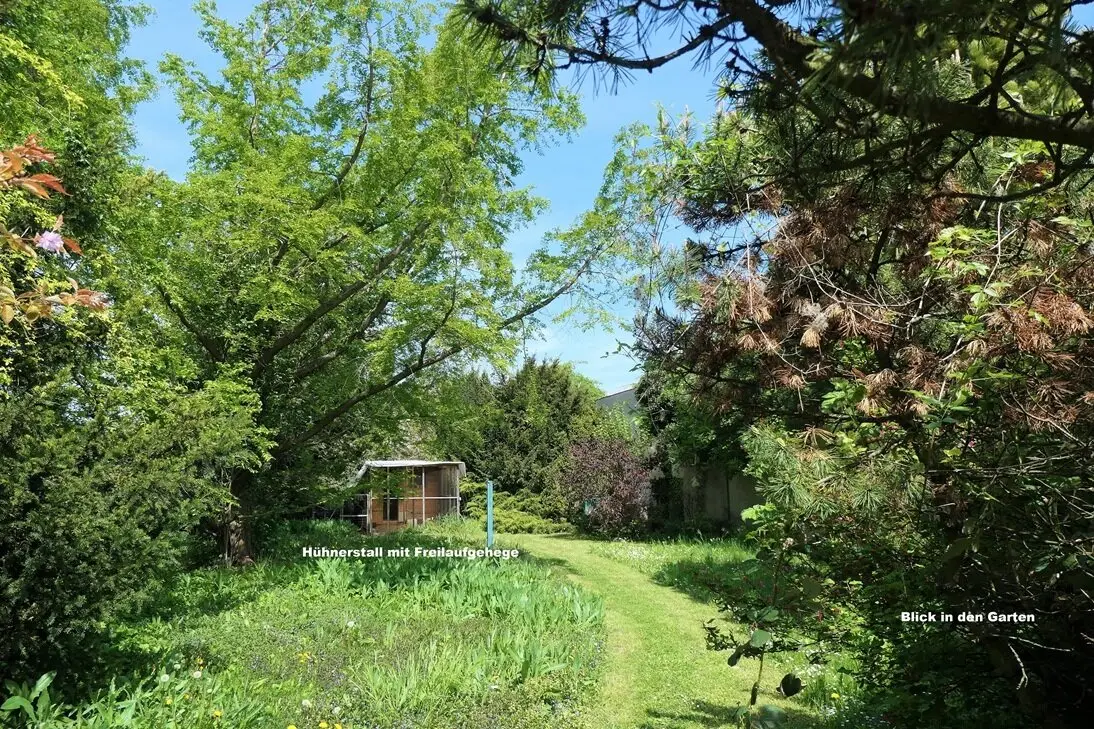 2460 Bruck/Leitha Building Plot Central Location Developers Take Note