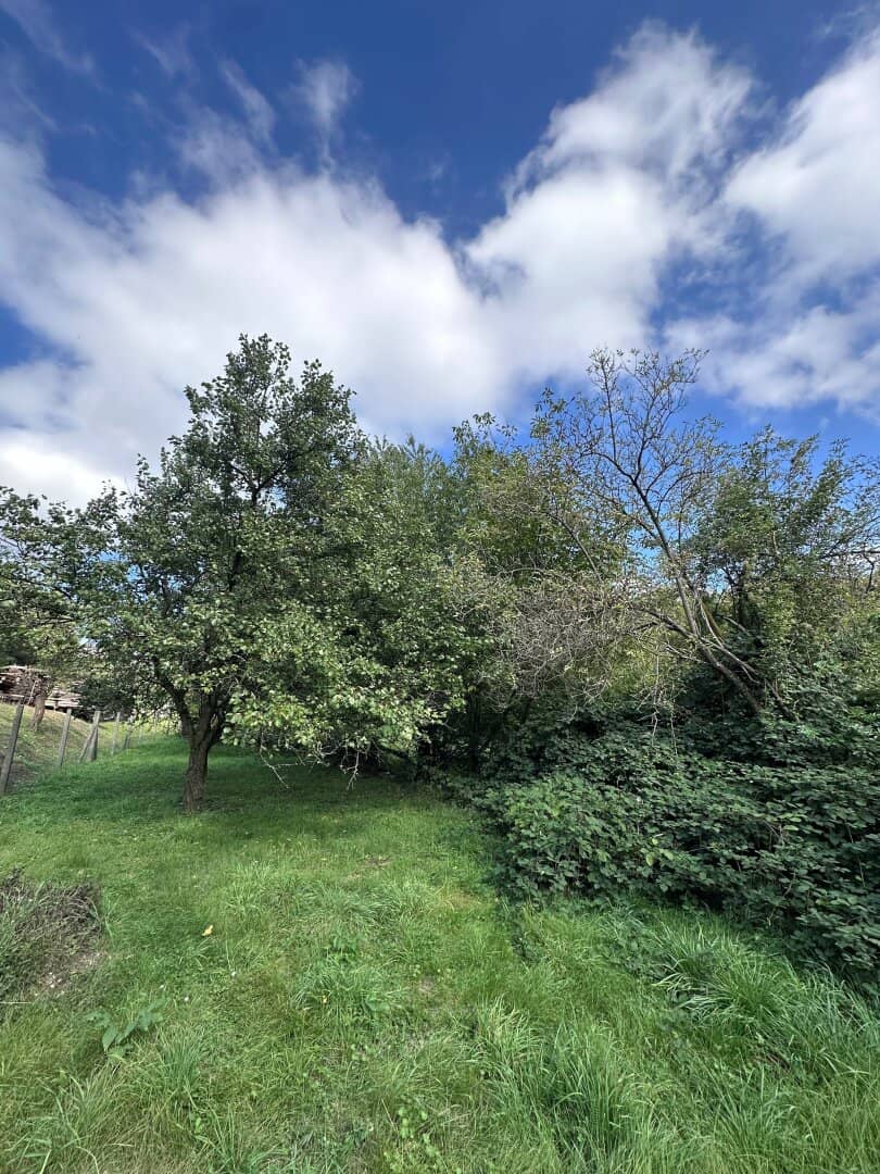 Hagenbrunn im Speckgürtel Wiens - Großzügiges Baugrundstück mit ca 2500m²
