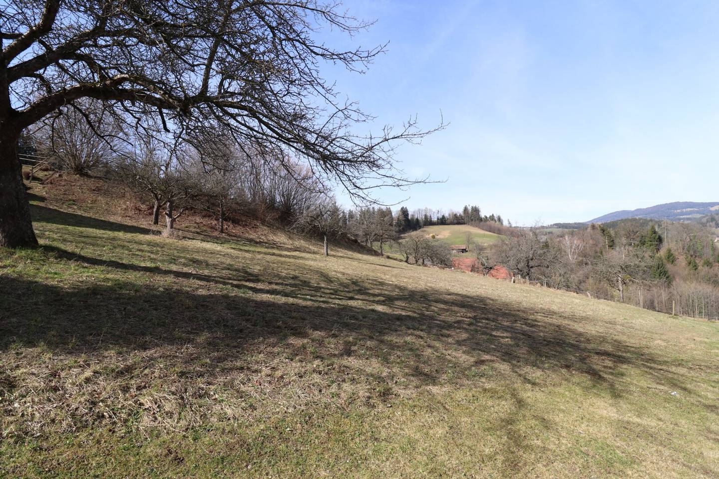 Weitblick nahe Maria Lankowitz