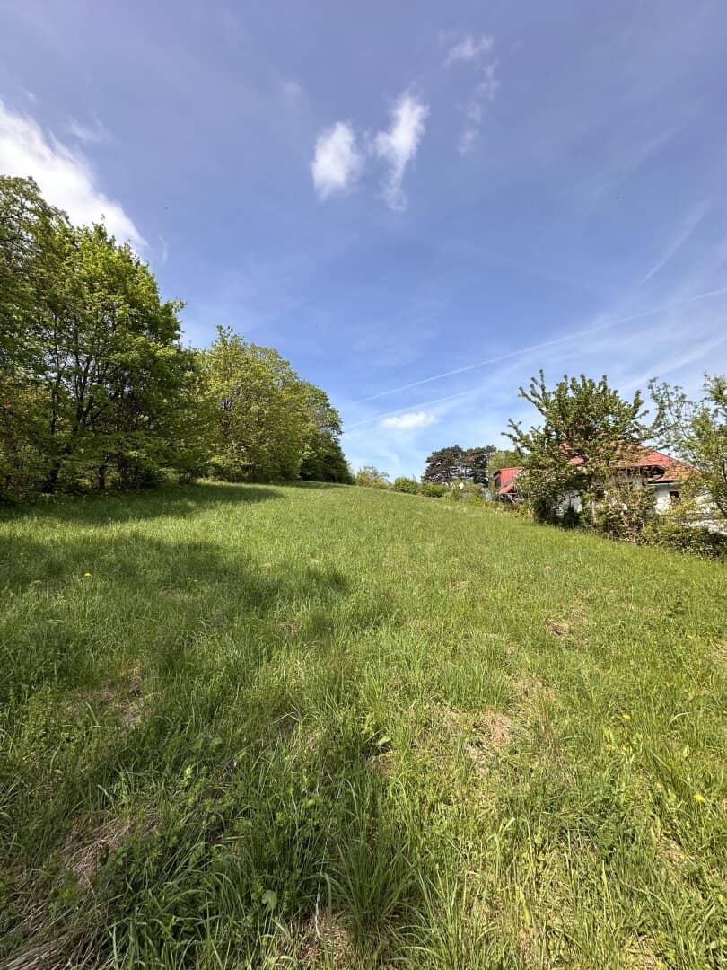 VILLEN-BAUGRUND - 2.000m² in Bestlage am Buchberg  mit Studie - Klosterneuburg