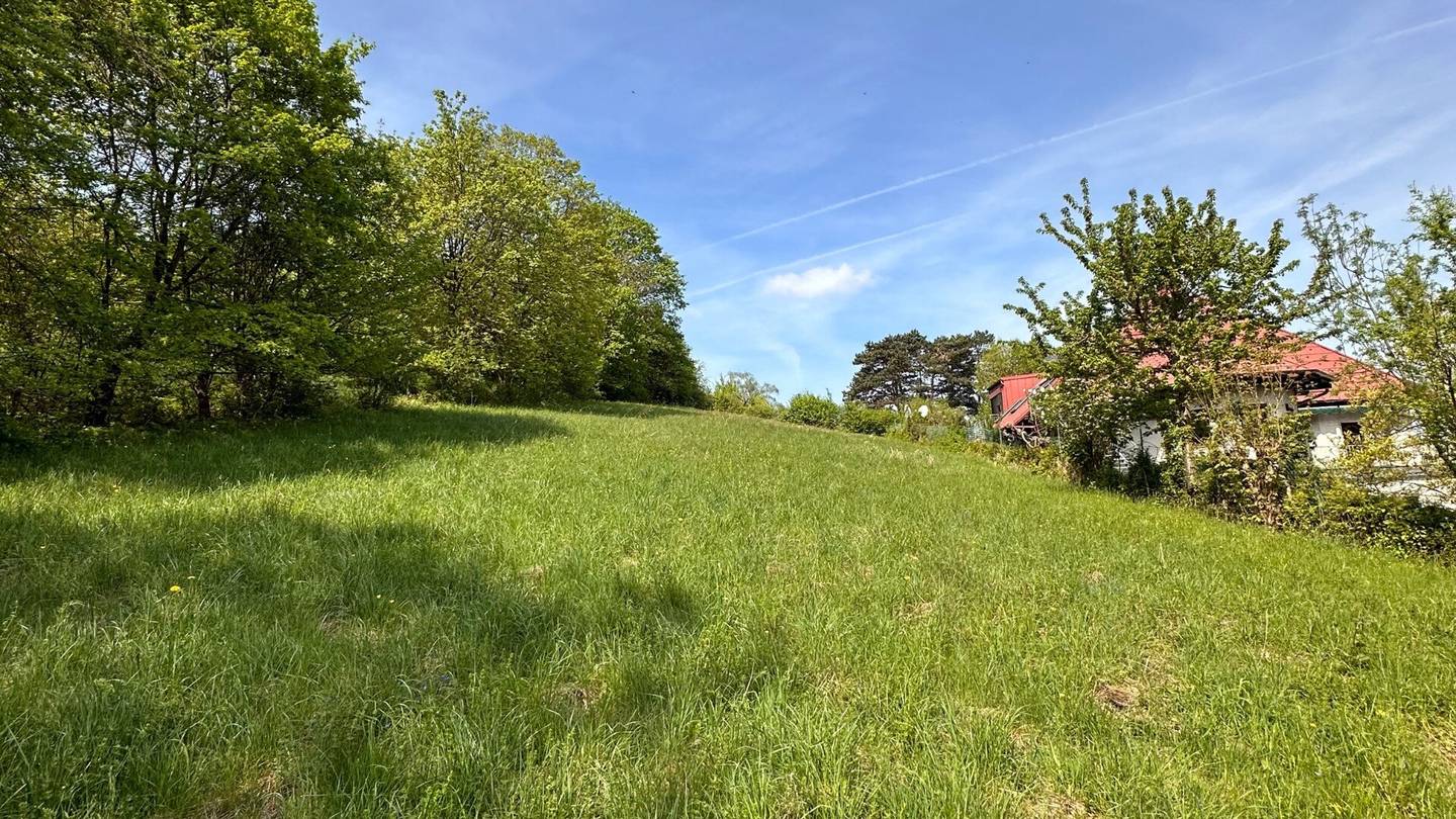 VILLEN-BAUGRUND - 2.000m² in Bestlage am Buchberg  mit Studie - Klosterneuburg