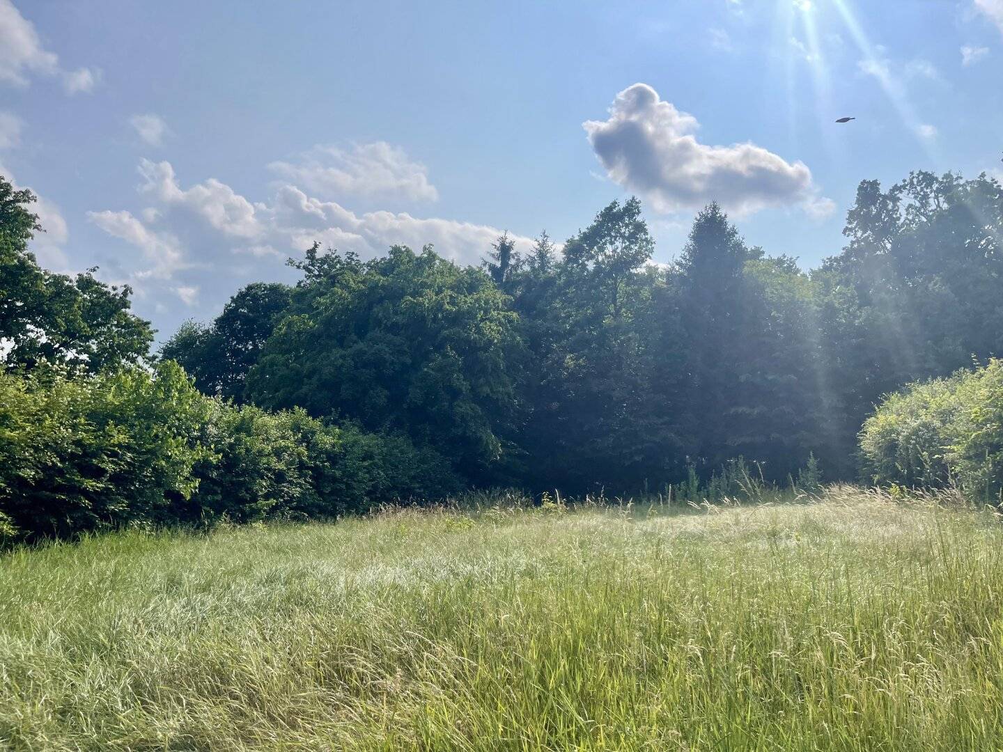 BAUGRUNDSTÜCK MIT SONNIGEM FERNBLICK