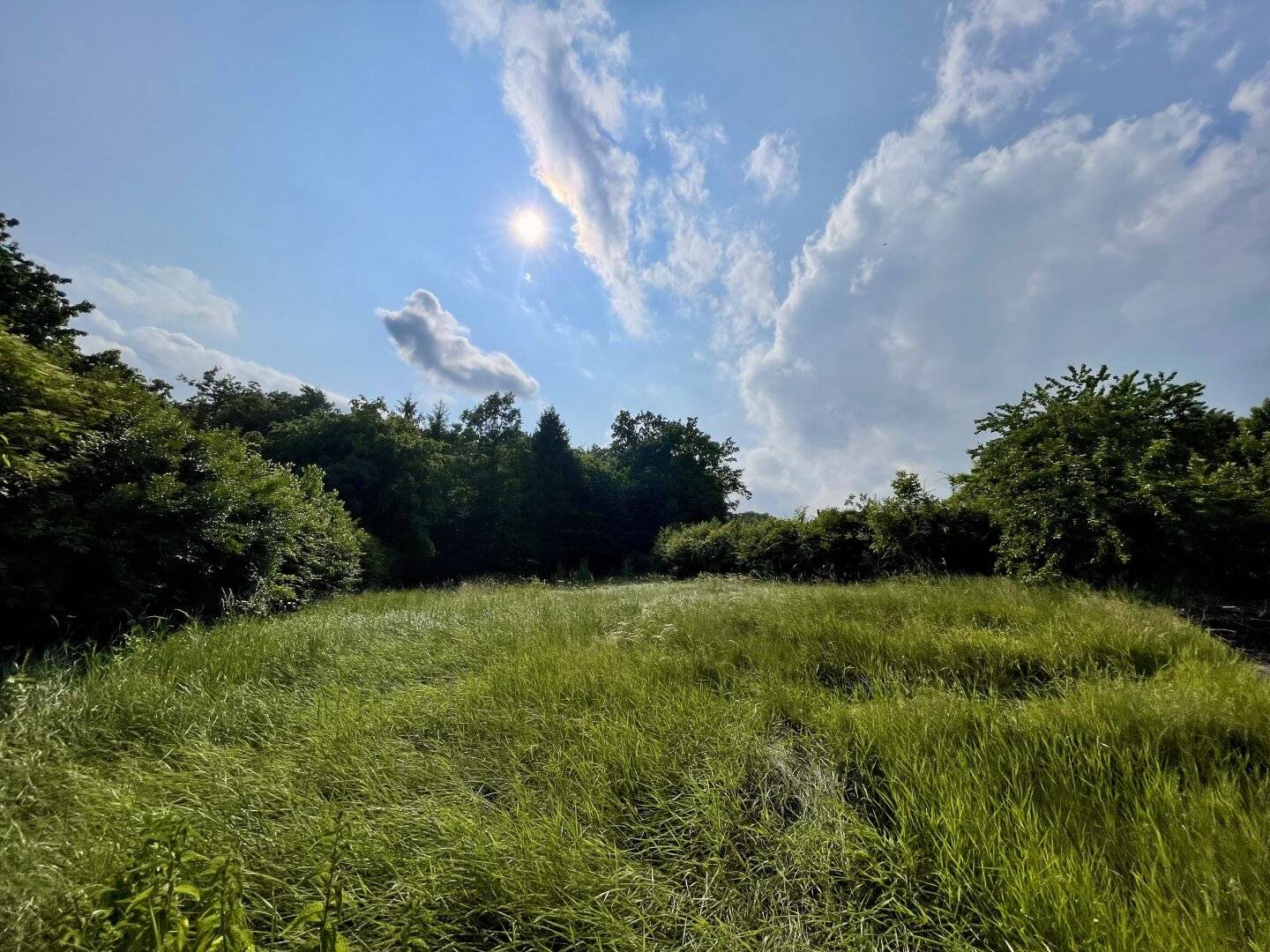 BAUGRUNDSTÜCK MIT SONNIGEM FERNBLICK