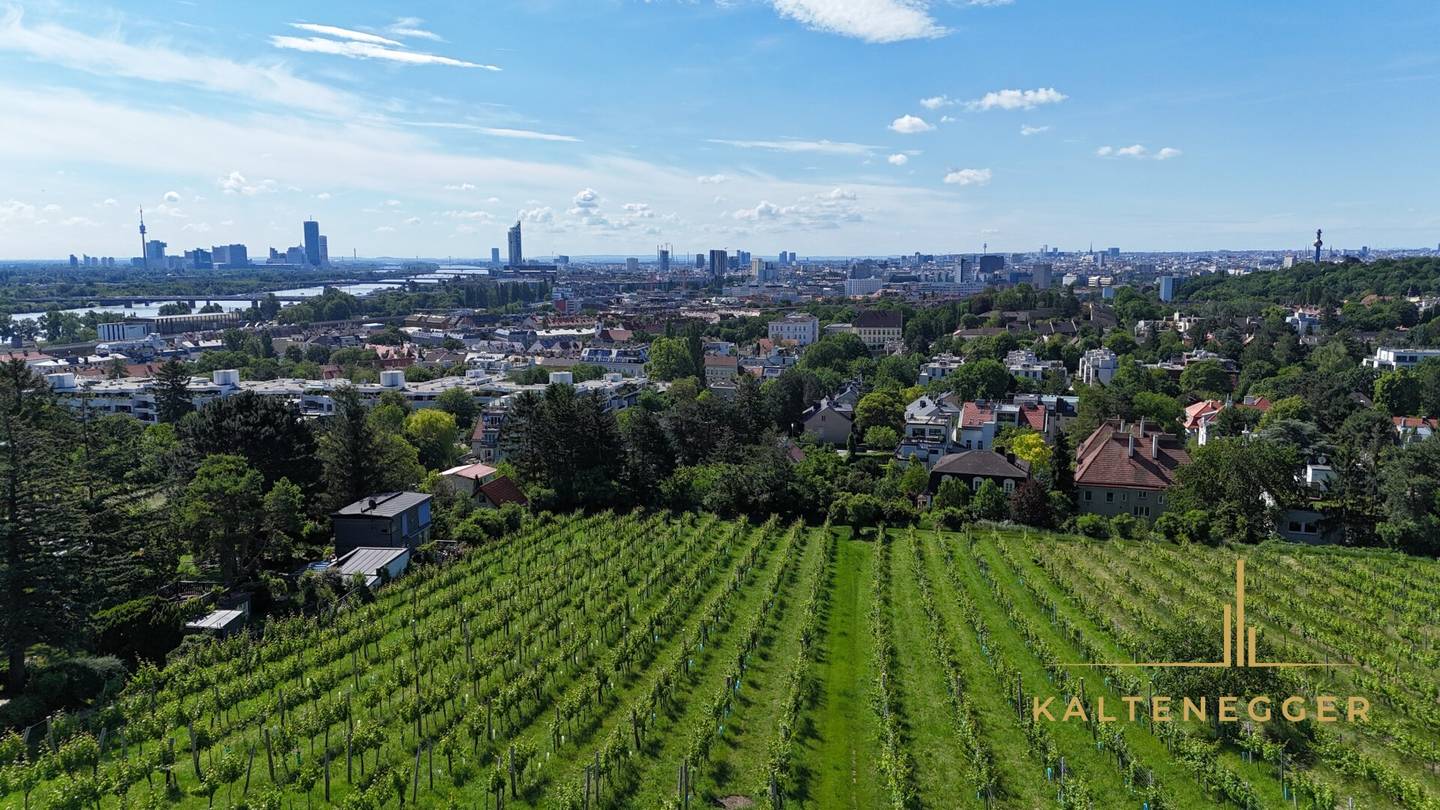 Baugenehmigtes Grundstück am Döblinger Nussberg