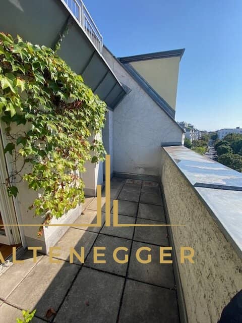 Über den Dächern West-Wiens