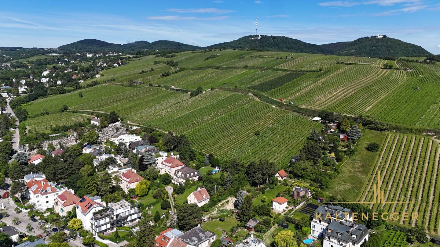 Baugenehmigtes Grundstück am Döblinger Nussberg