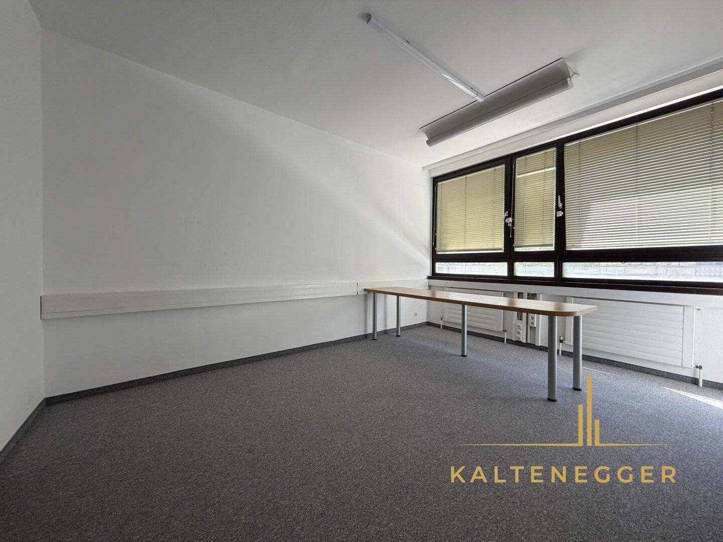 Großzügiges Büro mit 6 Zimmern in bester Lage der Josefstadt – unbefristete Vermietung