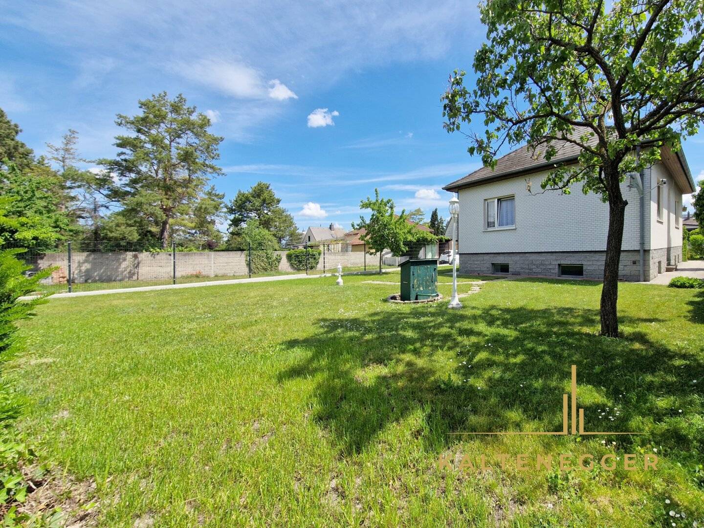Haus auf großem Grundstück mit Garage und viel grüner Oase