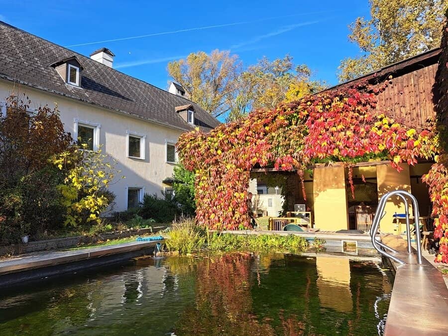 Altehrwürdiges Ambiente - beindruckende, hausähnliche Groß-Wohnung - mit Stuck- und Gewölbedecken - in Tribuswinkel/ Baden bei Wien - eigene Terrasse &amp; Grünfläche - Poolmitbenützung!