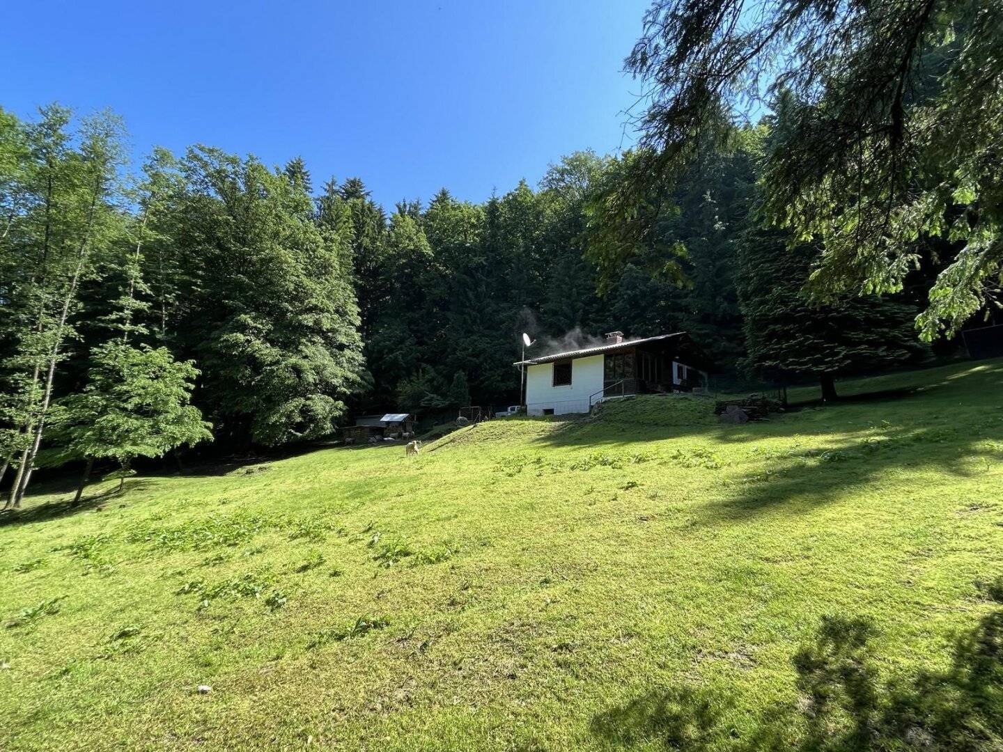 Immobilienbild 2
