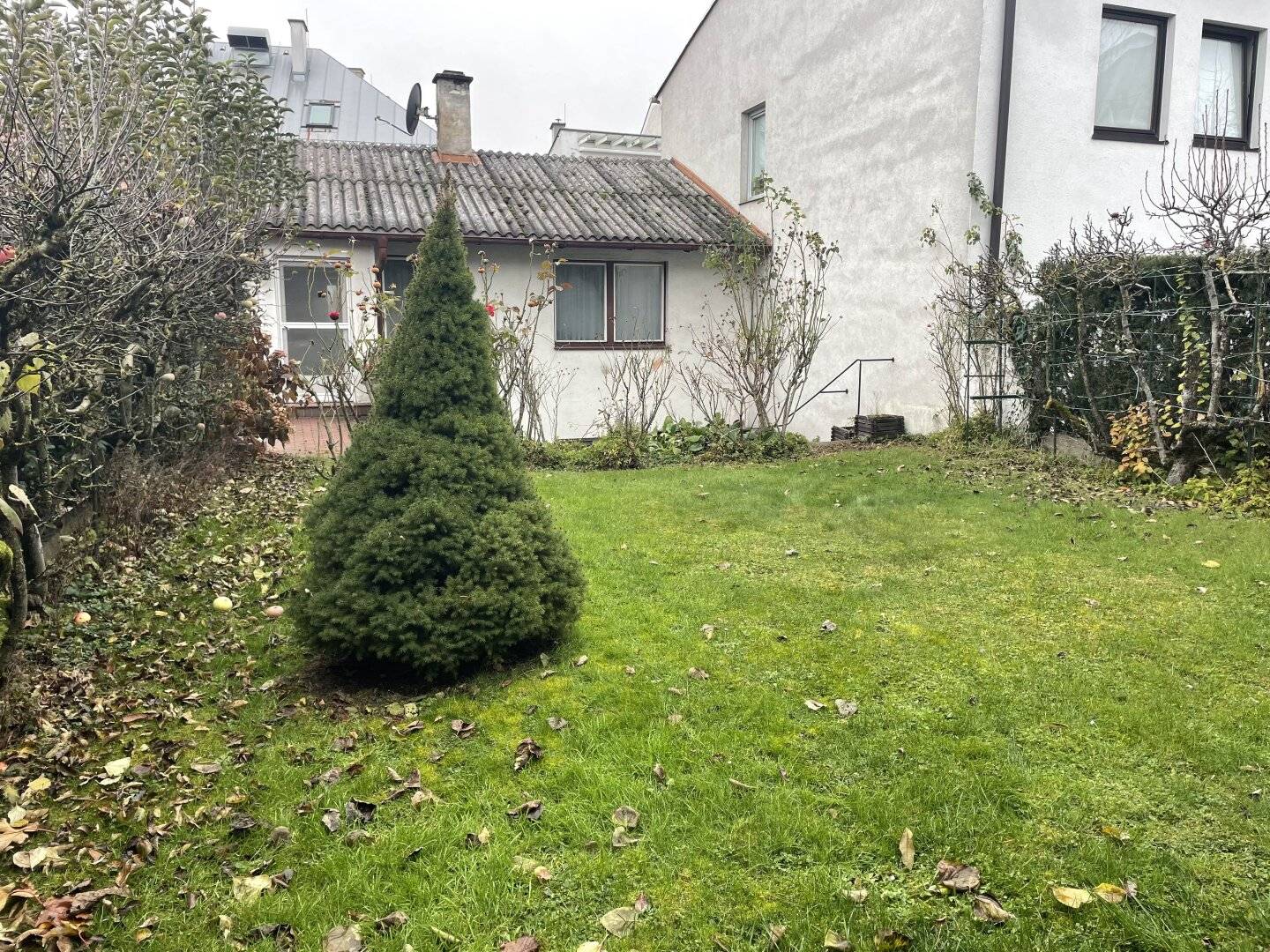 Alturfahr-Rarität: Stadthaus mit Garten und Entwicklungspotenzial