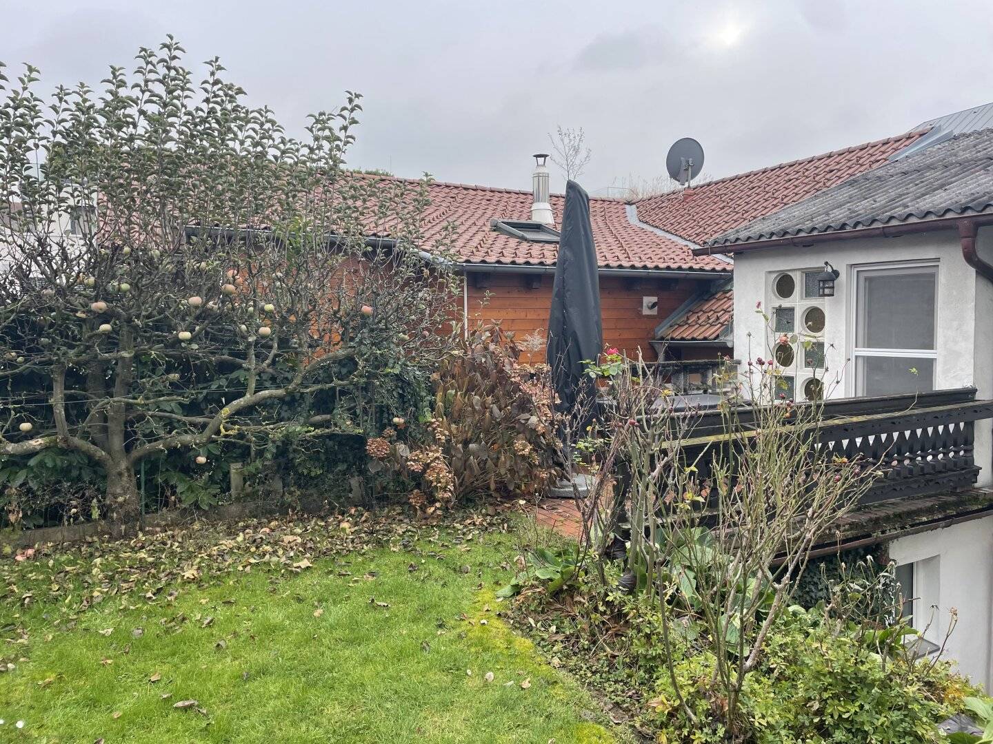 Alturfahr-Rarität: Stadthaus mit Garten und Entwicklungspotenzial