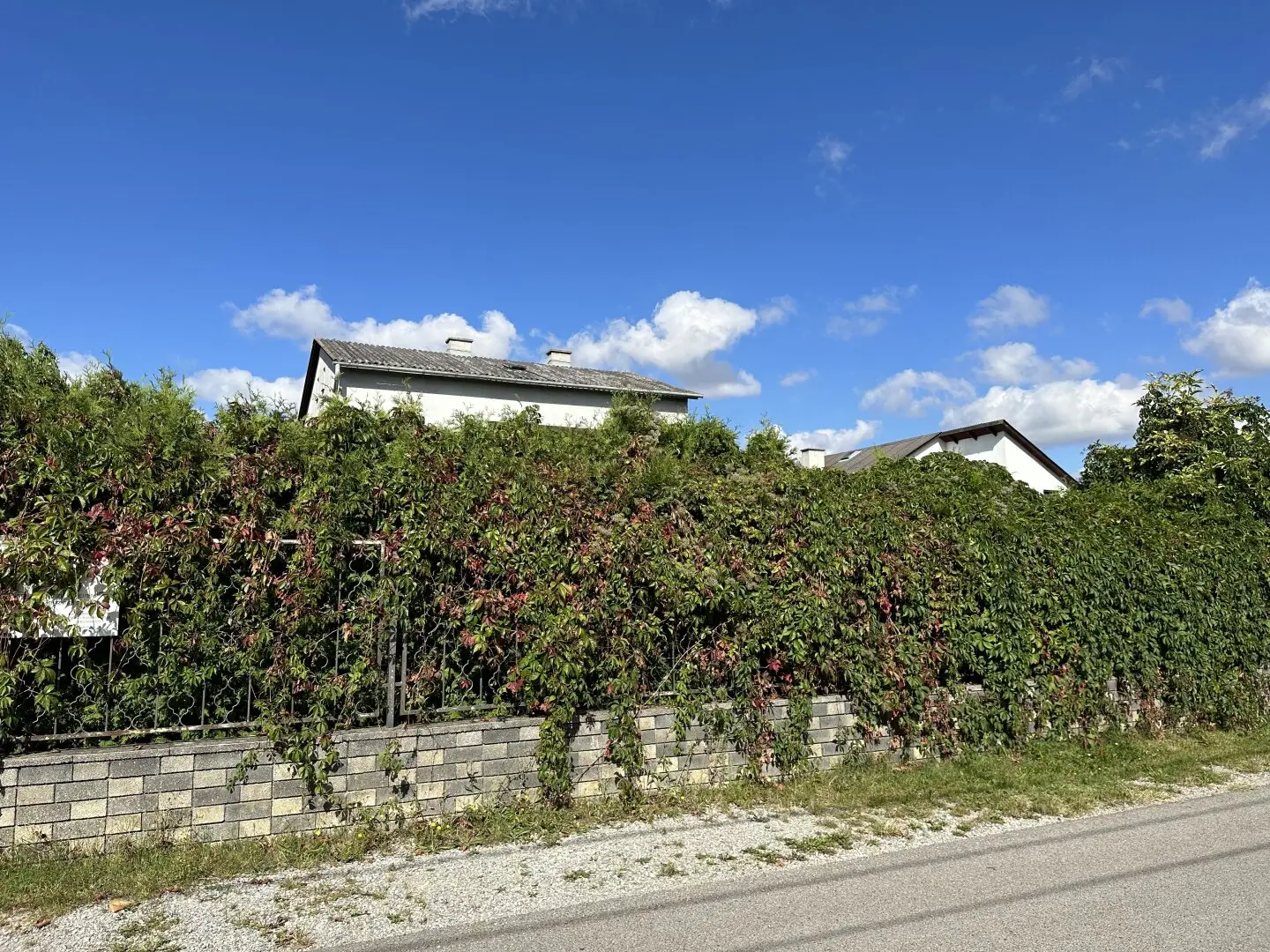Tolles Grundstück in Ruhelage mit über 28m Straßenfront | Verwirklichen Sie Ihren Traum auf 1.000 m² Eigengrund in Wien