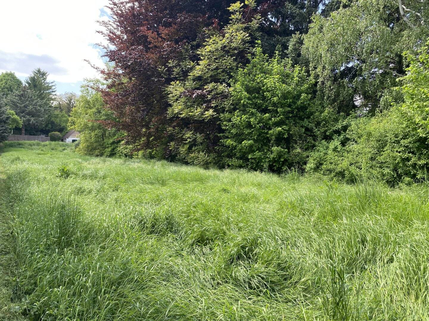 Baugrundstücke zu verkaufen, zentral, eben, Ruhelage, naturnah