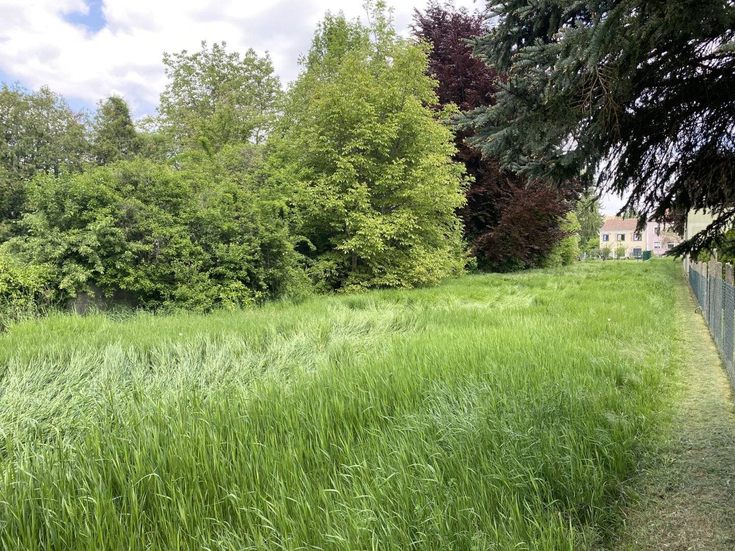 Baugrundstücke zu verkaufen, zentral, eben, Ruhelage, naturnah