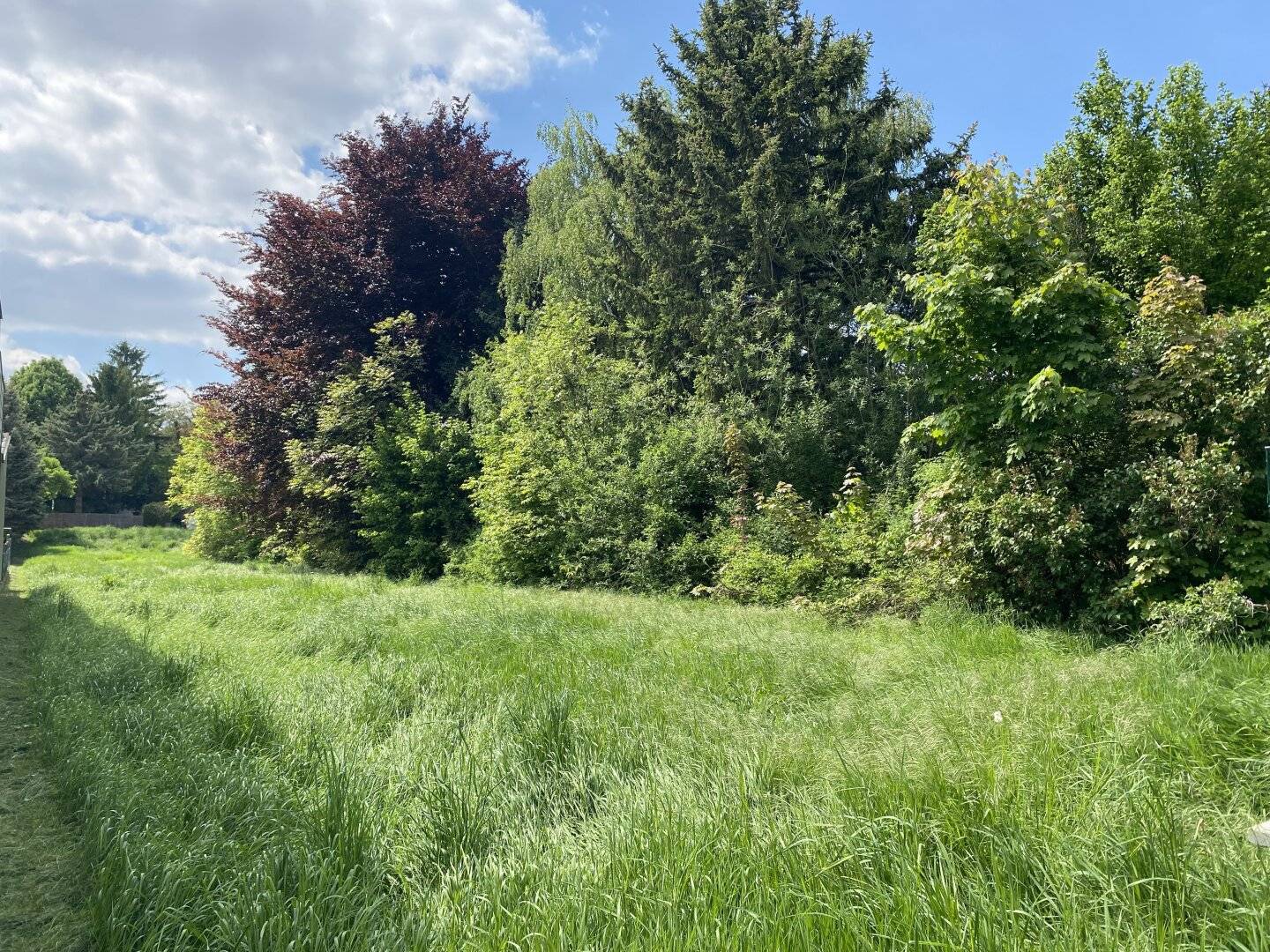 Baugrundstücke zu verkaufen, zentral, eben, Ruhelage, naturnah