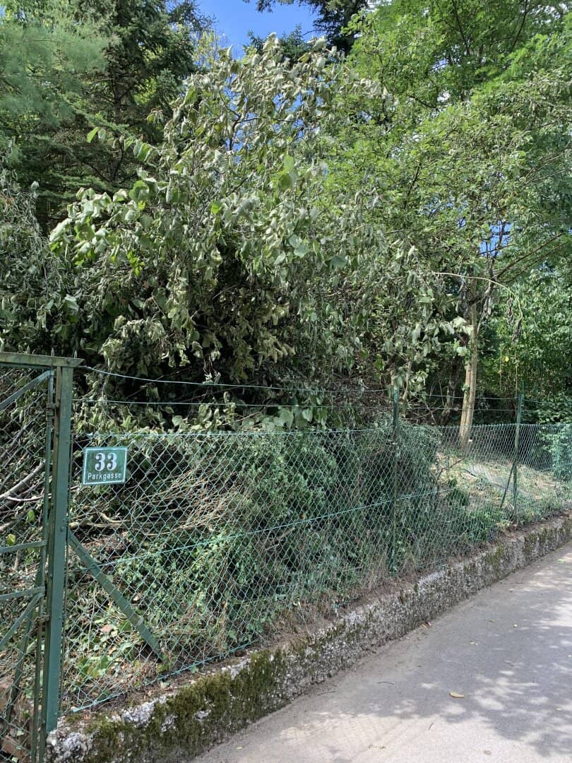 Großzügiges 1115m² Grundstück mit Garten in 2123 Kronberg, Niederösterreich!